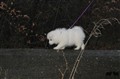IMG_9016.JPG