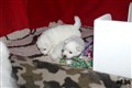IMG_5641.JPG