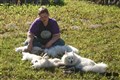 DSC_0959.jpg