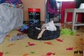 DSC_7489.jpg