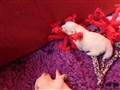 20200709_181750.JPG