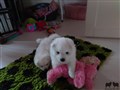 20200730_144500.jpg