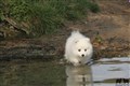 IMG_8152.JPG