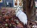20221206_085506.JPG