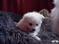 20221208_151759.JPG