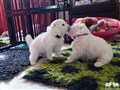 20230619_075838.JPG