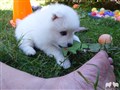 20230708_142438.JPG