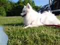 20240519_090304.JPG