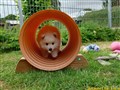 20260727_154032096.JPG