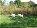 20260728_093440366.JPG