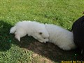 20260728_095819815.JPG