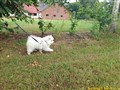 20260729_095804923.JPG