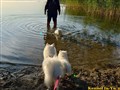 20260730_0650205751.JPG
