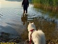 20260730_0650563071.JPG