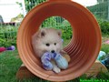 20260801_060135136.JPG