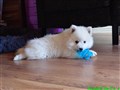 20260801_095123497.JPG