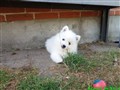 20260802_095337534.JPG