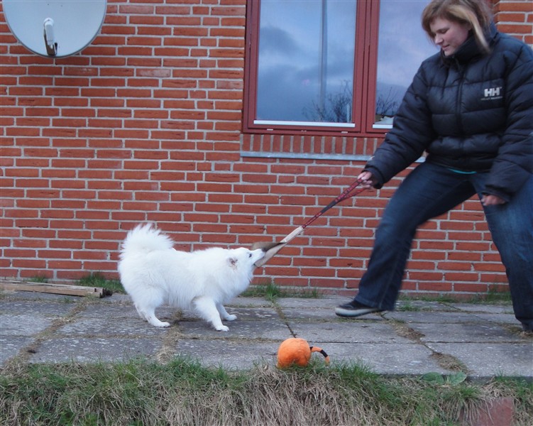 Hanna.1.4.10.1.JPG