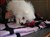DSC00414.JPG