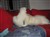 DSC00724.JPG