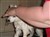 DSC00747.JPG