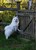 DSC09472.JPG