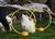 Hanna16.4.11b.JPG