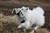 Hanna3-2-11b.JPG