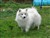 Hanna 10-11.JPG