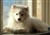 Hanna 28-1 2010.jpg