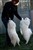 Kannibalen23.JPG