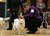 Lila03-04-11b.JPG