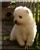 Lila11-10.jpg