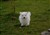 Lila13-11.JPG