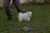 Lila13-11b.JPG