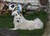 Lila16.4.11d.JPG