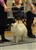 Lila22-4-11-storring.JPG