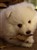 Lila26-10.jpg