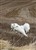 Lila3-2-11c.JPG