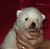 Lila7-10.jpg