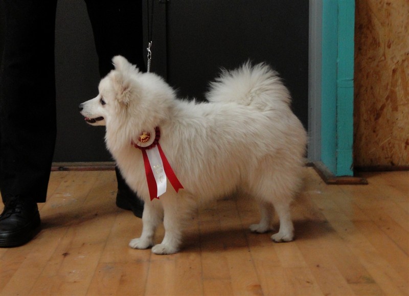 Lila03-04-11c.JPG