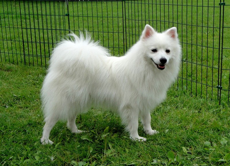 Lila14.8.11a.JPG
